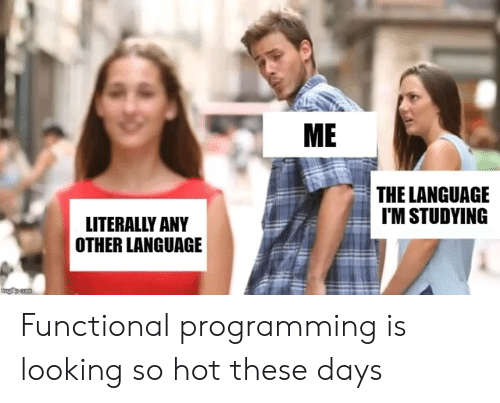 ME THE LANGUAGE T'M STUDYING LITERALLY ANY OTHER LANGUAGE Functional  Programming Is Looking So Hot These Days | Programming Meme on ME.ME