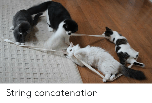 String Concatenation | Programmer Humor Meme on ME.ME